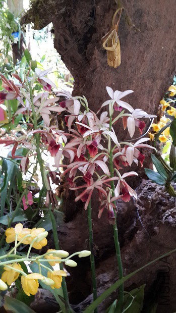 20140407_122523.jpg