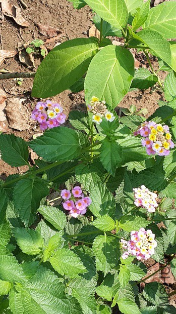 20140408_110059.jpg