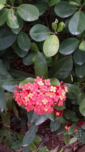 20140409_181521.jpg