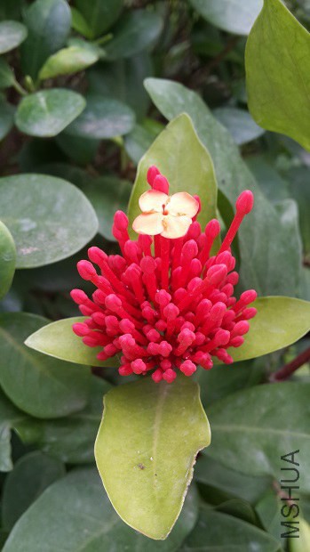 20140409_181537.jpg