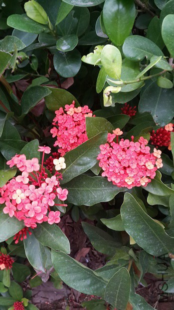 20140409_181653.jpg