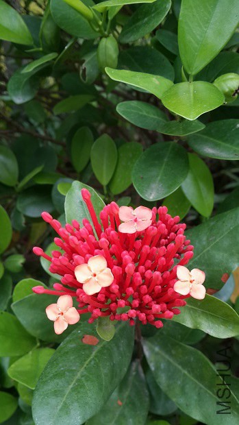 20140409_181551.jpg