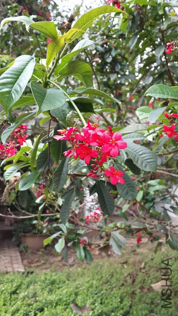 20140407_113922.jpg