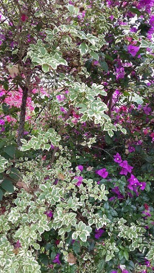 20140407_110648.jpg
