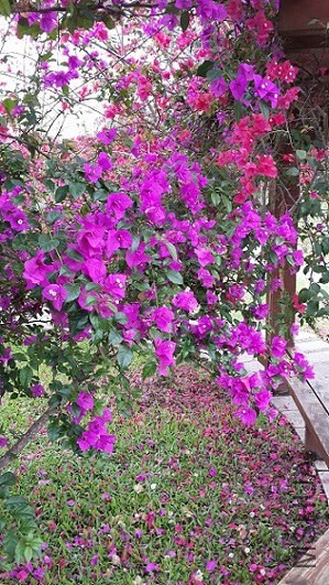 20140407_110645.jpg