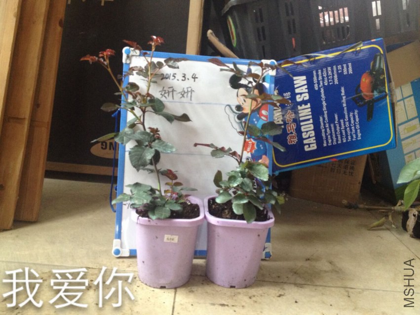 QQͼƬ20150305131154.jpg