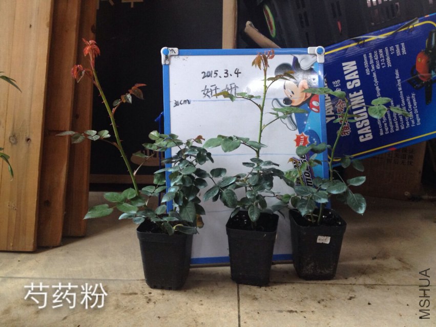 QQͼƬ20150305131200.jpg
