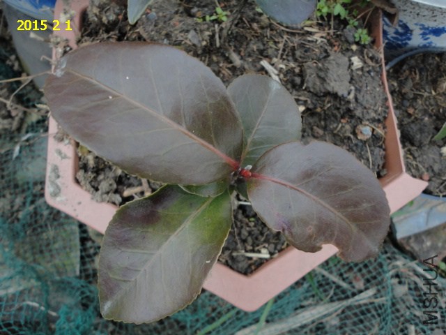 DSC06303.JPG