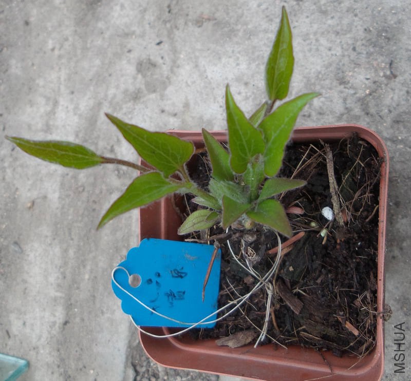20150305_120230.jpg