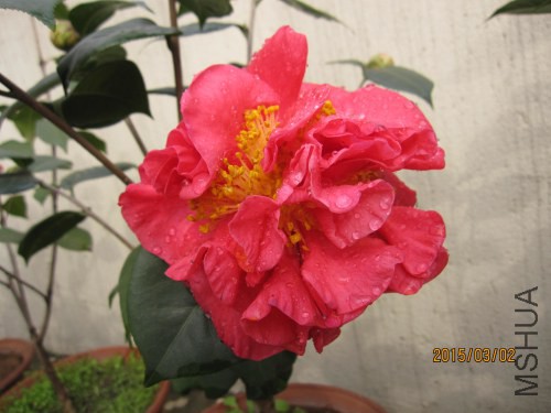 IMG_1642.jpg