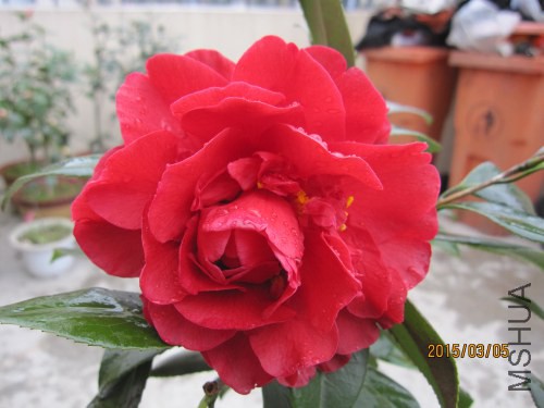 IMG_1669.jpg