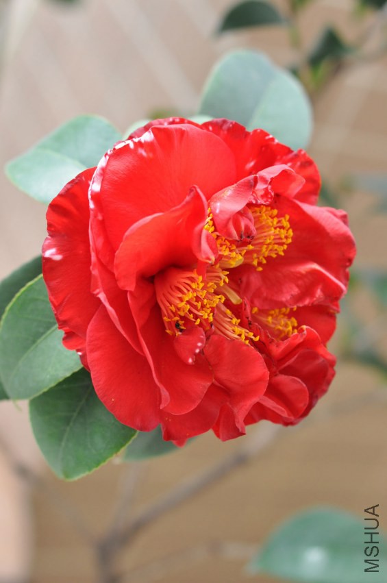DSC_0173.JPG