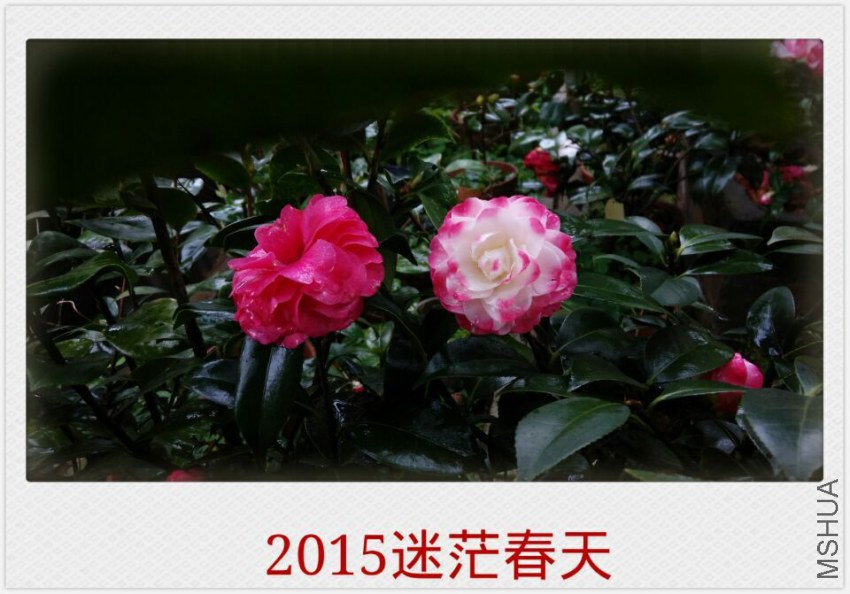 QQͼƬ20150305215105.jpg