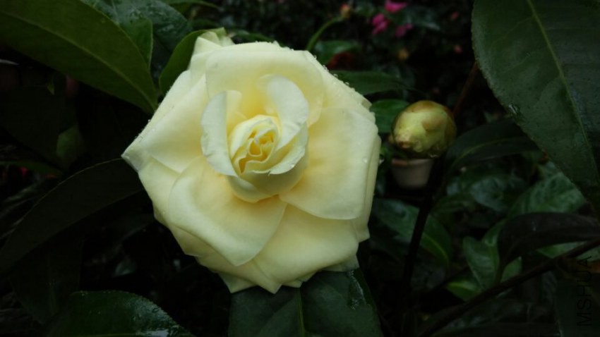 QQͼƬ20150305215133.jpg