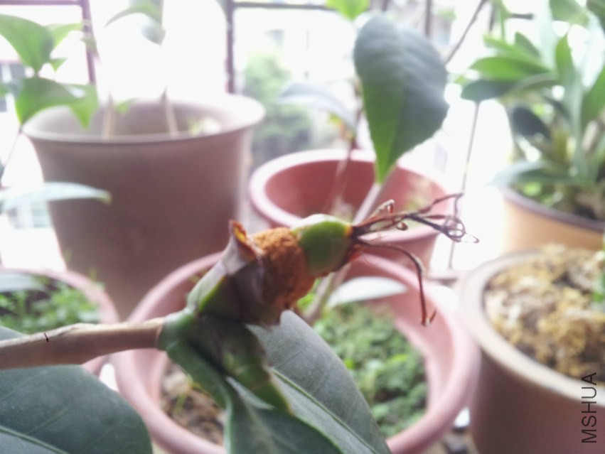 20150220_104459.jpg