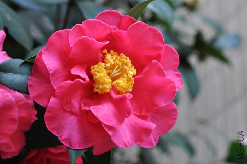 DSC_0348.JPG