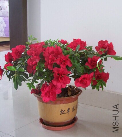 QQͼƬ20140619092901.jpg