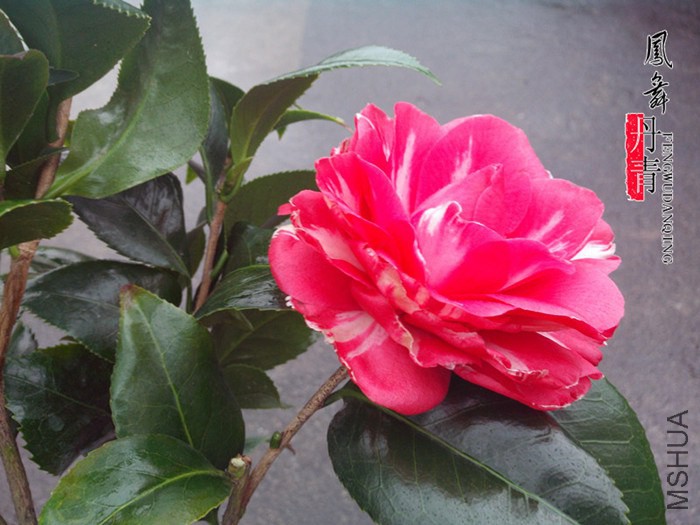 IMG_20150305_102248.jpg