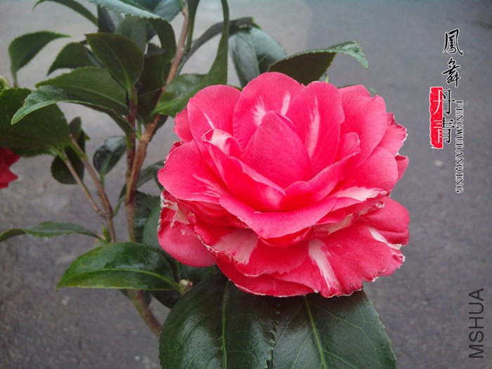 IMG_20150305_102256.jpg