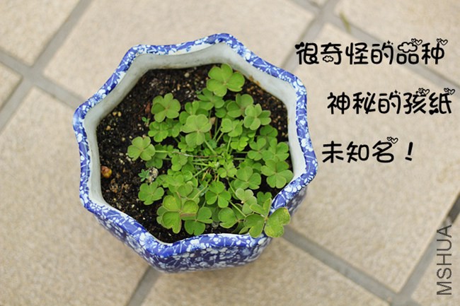 17_����.jpg