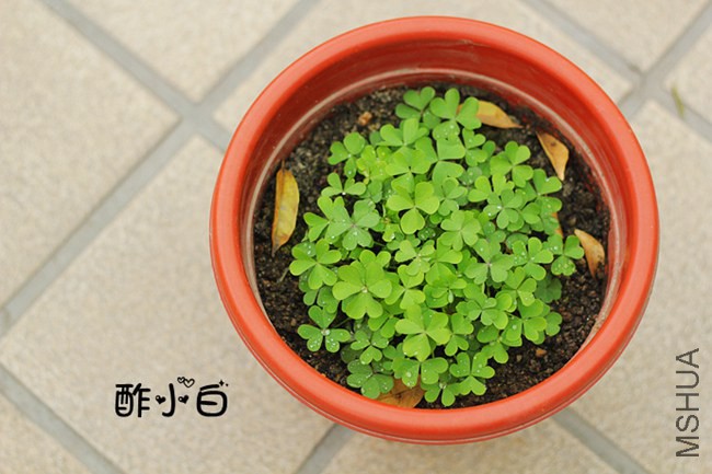 18_����.jpg