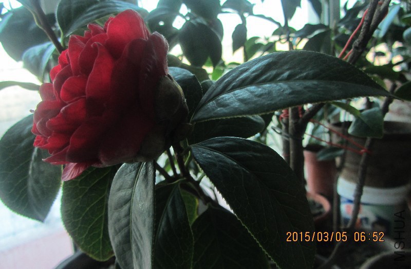 IMG_0013.JPG