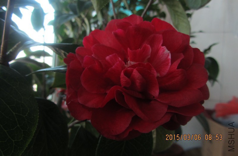 IMG_0149.JPG