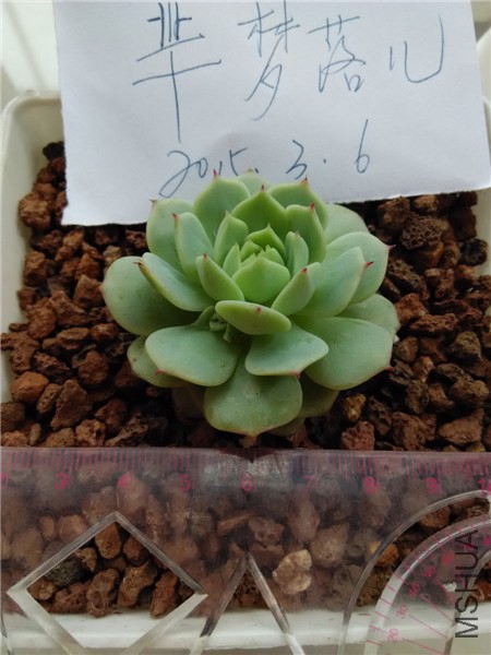 ��ҹ������ѿ��45Ԫ