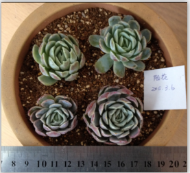 QQͼƬ20150306144254.png