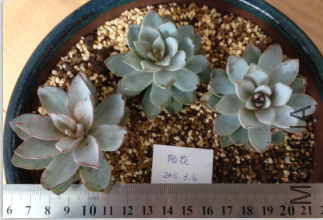 QQͼƬ20150306144034.png