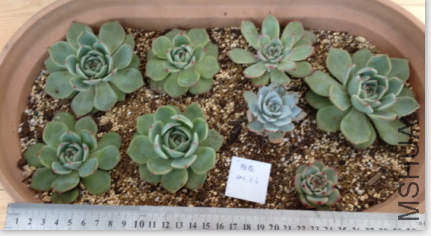 QQͼƬ20150306165221.png