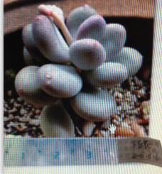 QQͼƬ20150306171638.png