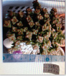 QQͼƬ20150306171708.png