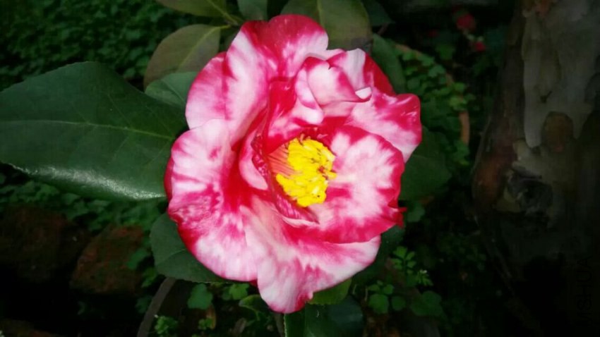 QQͼƬ20150305214703.jpg