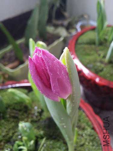 20150307_112751.jpg