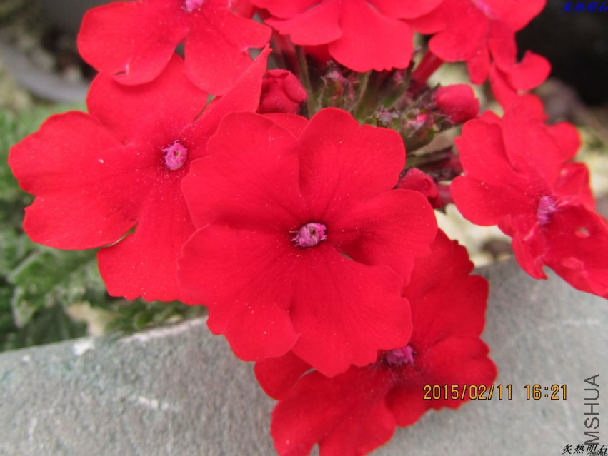 IMG_6995_nEO_IMG.jpg