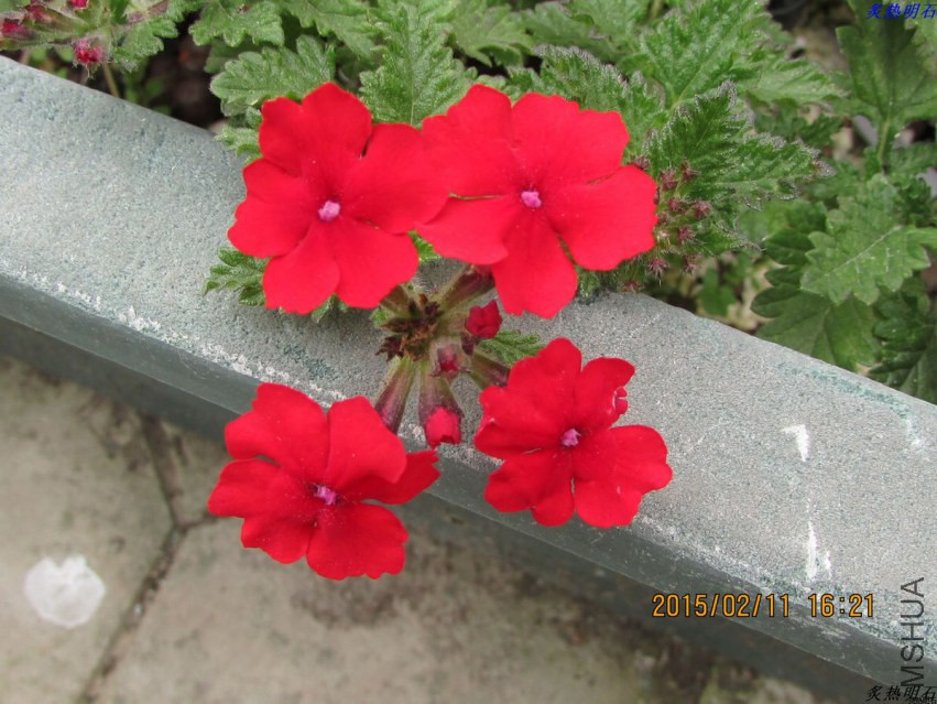 IMG_6997_nEO_IMG.jpg