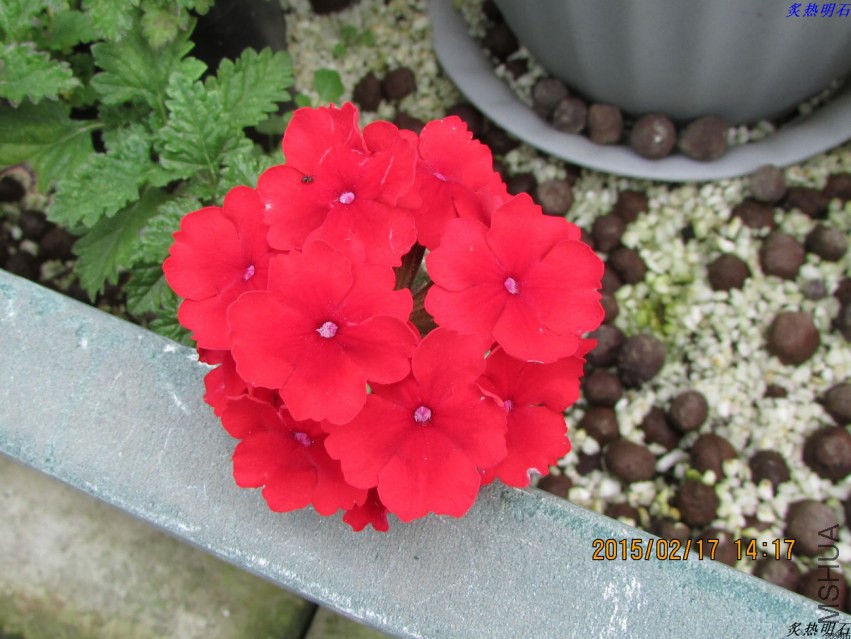 IMG_7582_nEO_IMG.jpg