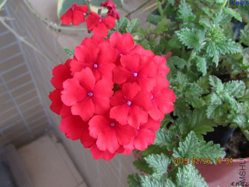 IMG_8734_nEO_IMG.jpg