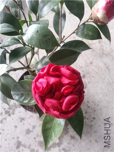 20150307_095937.jpg