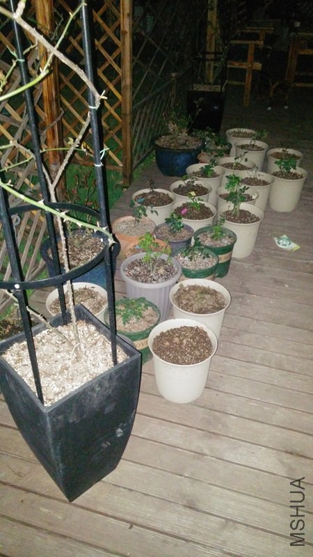 20150307_210454.jpg
