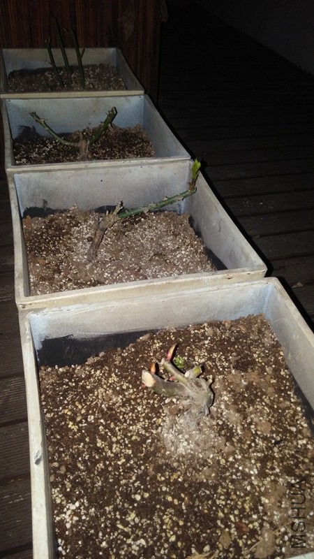 20150307_210530.jpg