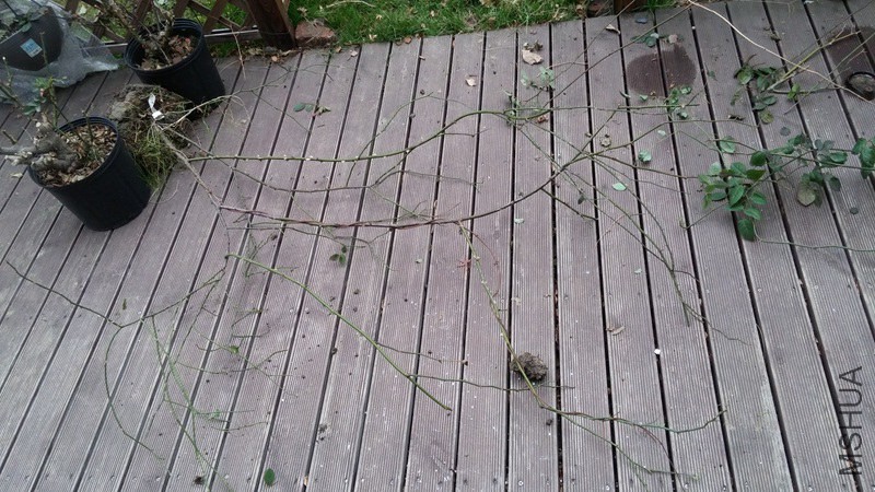 20150203_162059.jpg