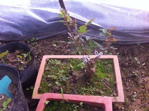 �Լ��޽ӵ��辰  �¼�.JPG