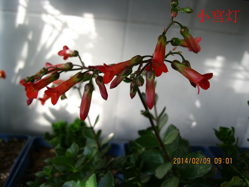 IMG_3952_����.jpg
