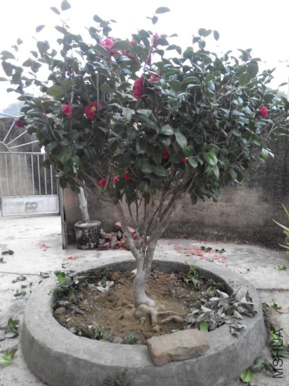 IMG_20150219_182029.jpg
