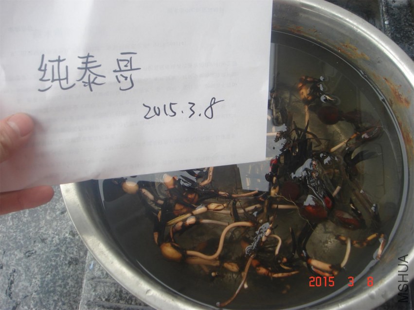 DSC09846.JPG