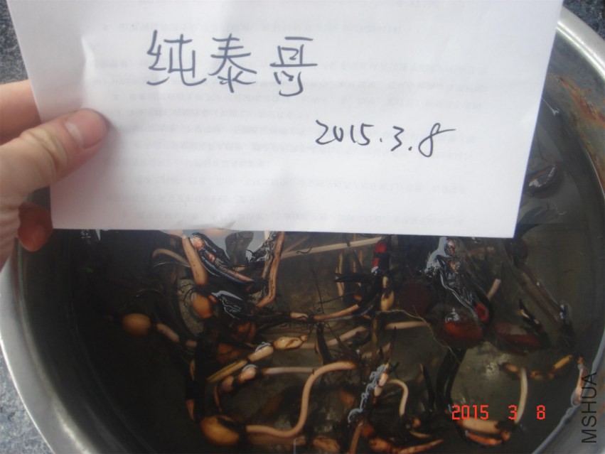 DSC09847.JPG