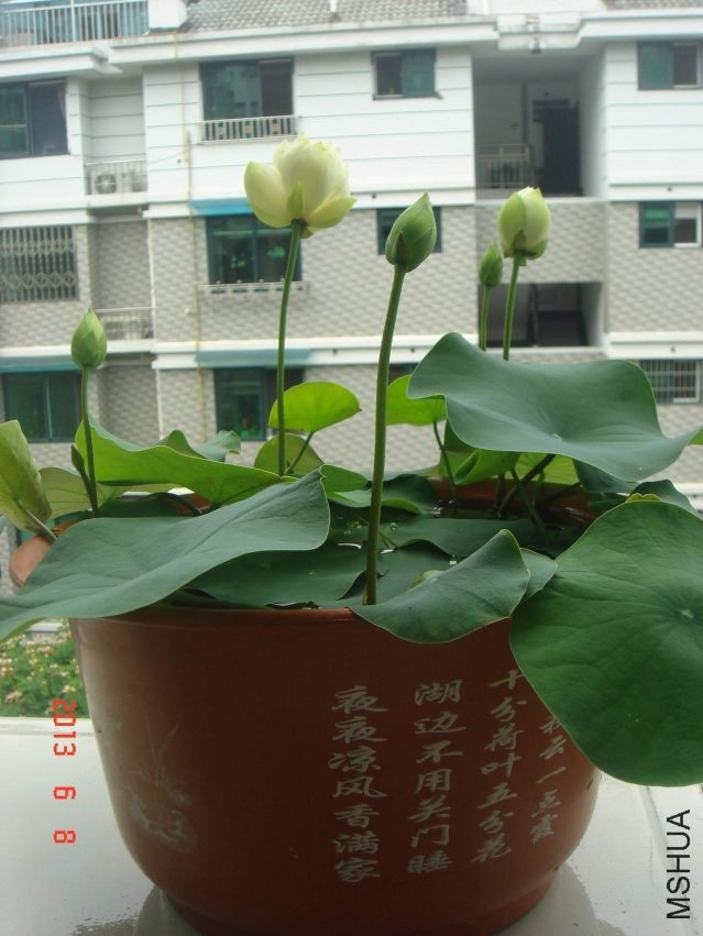 DSC08657.JPG