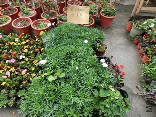 QQͼƬ20150308101637.jpg